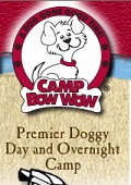 Doggie Day Care Boulder
